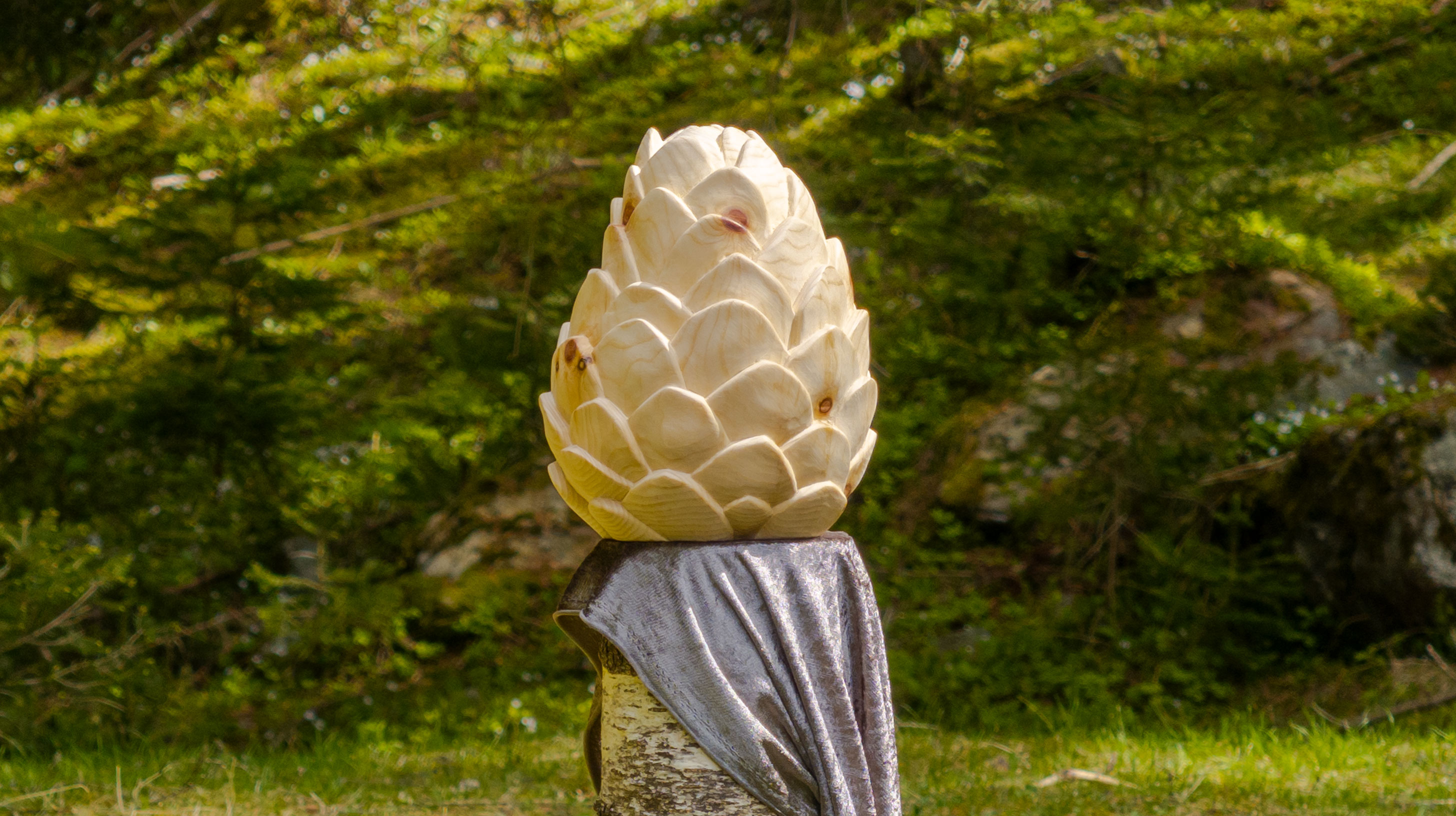 Wiesenplatz Bichlkirche